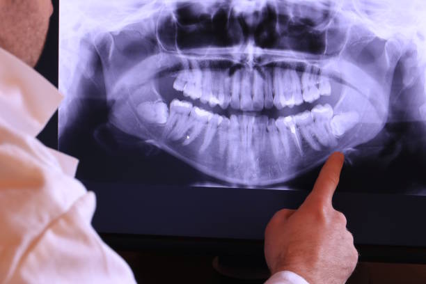 Best Emergency X-Rays and Diagnostics in Security Widefield, CO